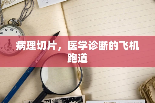 病理切片，医学诊断的飞机跑道