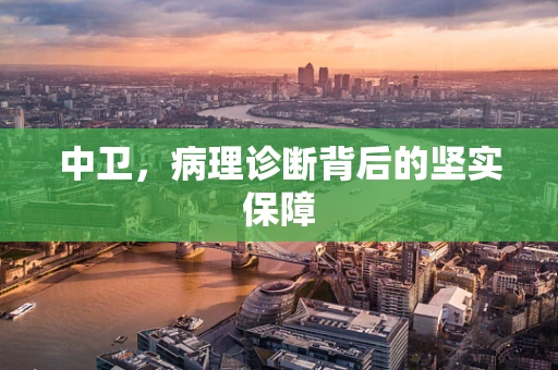 中卫，病理诊断背后的坚实保障