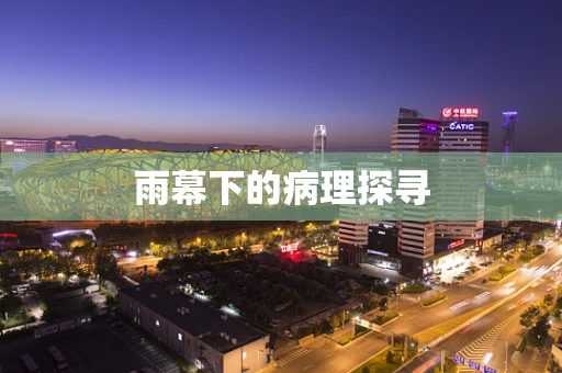 雨幕下的病理探寻