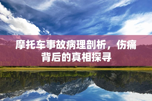 摩托车事故病理剖析，伤痛背后的真相探寻