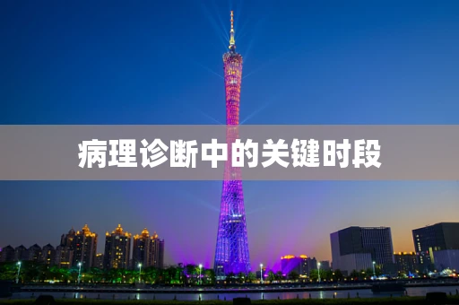 病理诊断中的关键时段