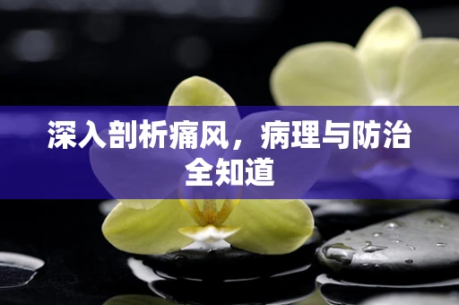 深入剖析痛风，病理与防治全知道