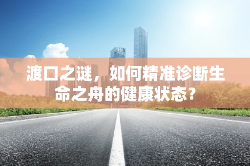 渡口之谜，如何精准诊断生命之舟的健康状态？