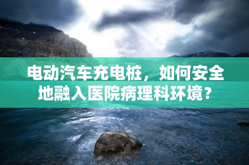 电动汽车充电桩，如何安全地融入医院病理科环境？