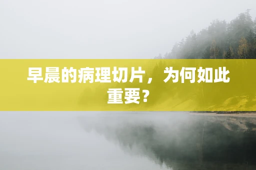 早晨的病理切片，为何如此重要？