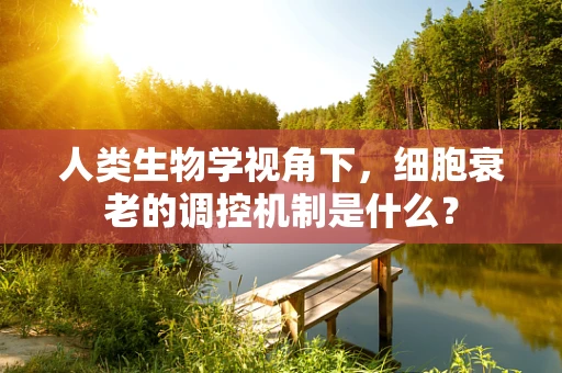 人类生物学视角下，细胞衰老的调控机制是什么？