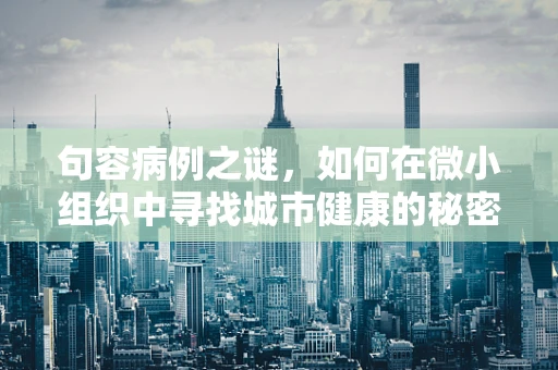 句容病例之谜，如何在微小组织中寻找城市健康的秘密？