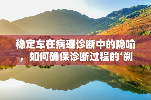 稳定车在病理诊断中的隐喻，如何确保诊断过程的‘刹车与加速’？