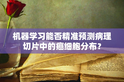 机器学习能否精准预测病理切片中的癌细胞分布？