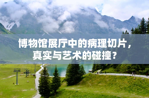 博物馆展厅中的病理切片，真实与艺术的碰撞？