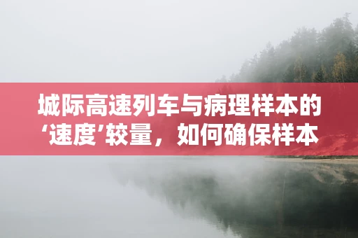 城际高速列车与病理样本的‘速度’较量，如何确保样本的‘零时差’传递？