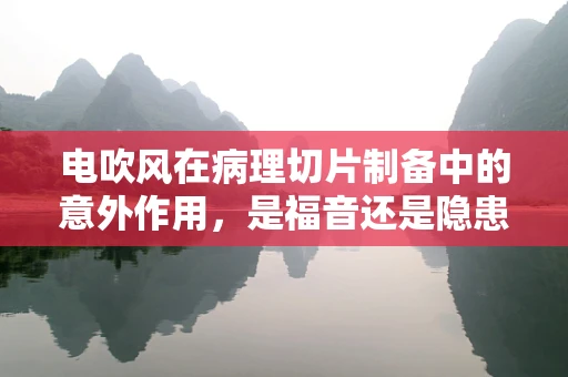 电吹风在病理切片制备中的意外作用，是福音还是隐患？