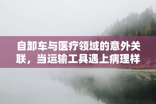 自卸车与医疗领域的意外关联，当运输工具遇上病理样本的意外卸载