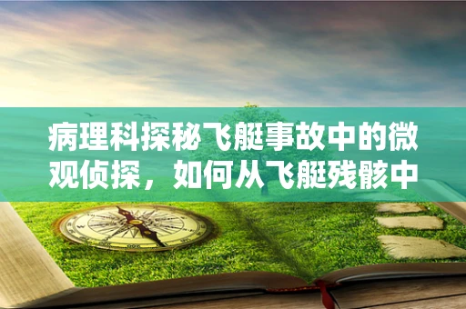 病理科探秘飞艇事故中的微观侦探，如何从飞艇残骸中寻找健康与安全的线索？