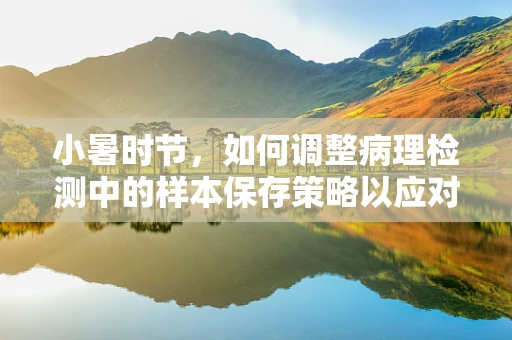 小暑时节，如何调整病理检测中的样本保存策略以应对高温挑战？