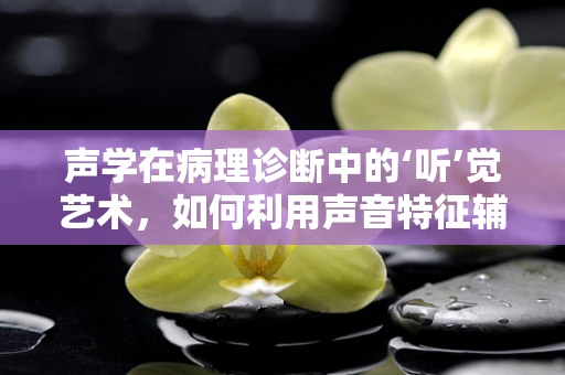 声学在病理诊断中的‘听’觉艺术，如何利用声音特征辅助诊断？