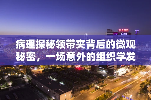 病理探秘领带夹背后的微观秘密，一场意外的组织学发现