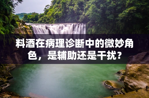 料酒在病理诊断中的微妙角色，是辅助还是干扰？