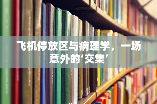 飞机停放区与病理学，一场意外的‘交集’