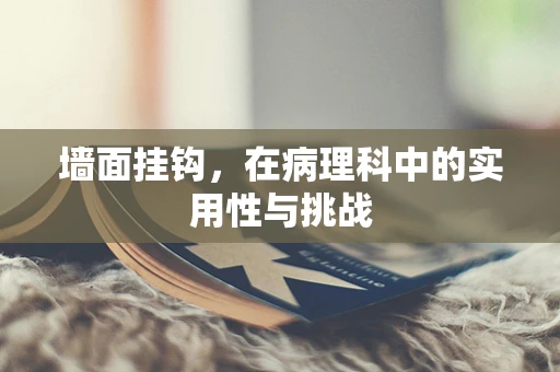 墙面挂钩，在病理科中的实用性与挑战