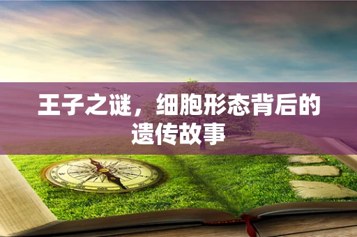 王子之谜，细胞形态背后的遗传故事