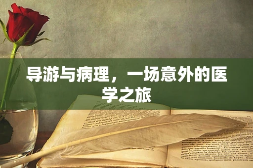 导游与病理，一场意外的医学之旅