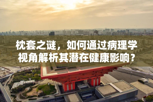 枕套之谜，如何通过病理学视角解析其潜在健康影响？