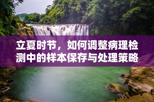 立夏时节，如何调整病理检测中的样本保存与处理策略？