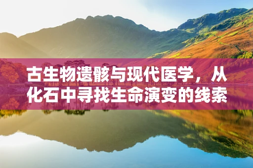 古生物遗骸与现代医学，从化石中寻找生命演变的线索