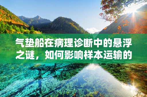 气垫船在病理诊断中的悬浮之谜，如何影响样本运输的稳定性？