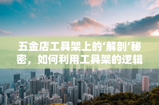 五金店工具架上的‘解剖’秘密，如何利用工具架的逻辑管理病理样本？