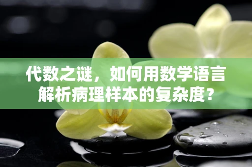 代数之谜，如何用数学语言解析病理样本的复杂度？
