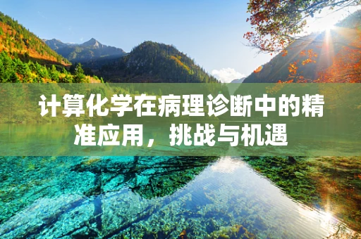 计算化学在病理诊断中的精准应用，挑战与机遇