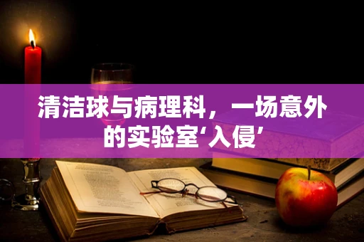 清洁球与病理科，一场意外的实验室‘入侵’