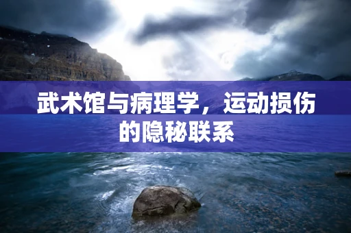 武术馆与病理学，运动损伤的隐秘联系