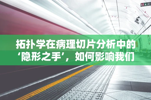 拓扑学在病理切片分析中的‘隐形之手’，如何影响我们的诊断？