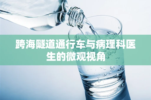 跨海隧道通行车与病理科医生的微观视角