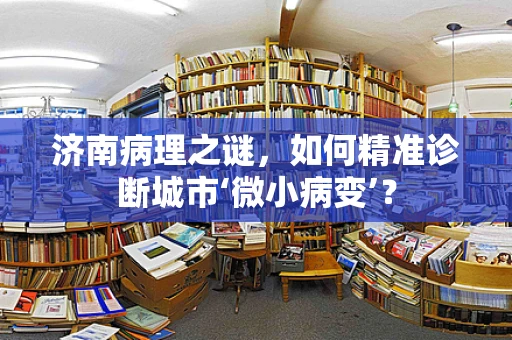 济南病理之谜，如何精准诊断城市‘微小病变’？