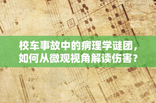 校车事故中的病理学谜团，如何从微观视角解读伤害？