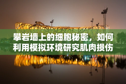 攀岩墙上的细胞秘密，如何利用模拟环境研究肌肉损伤与修复？