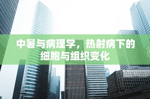 中暑与病理学，热射病下的细胞与组织变化
