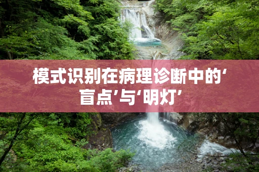 模式识别在病理诊断中的‘盲点’与‘明灯’