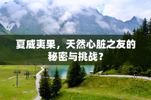 夏威夷果，天然心脏之友的秘密与挑战？