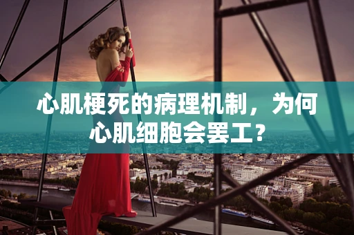 心肌梗死的病理机制，为何心肌细胞会罢工？