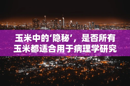 玉米中的‘隐秘’，是否所有玉米都适合用于病理学研究？