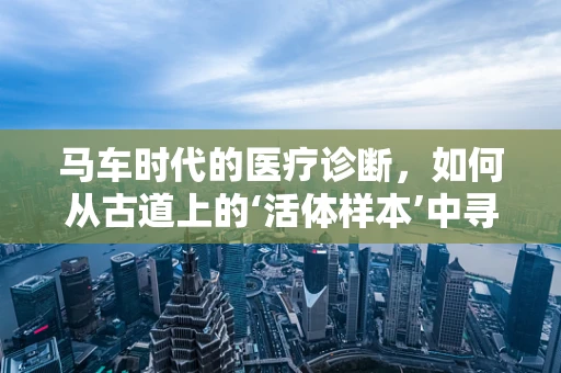 马车时代的医疗诊断，如何从古道上的‘活体样本’中寻找线索？