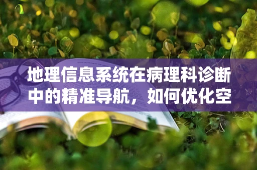 地理信息系统在病理科诊断中的精准导航，如何优化空间数据分析？
