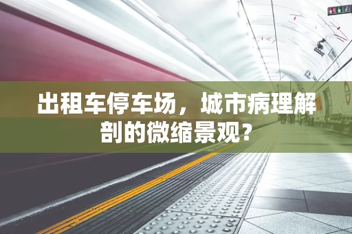 出租车停车场，城市病理解剖的微缩景观？