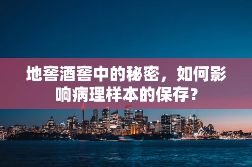 地窖酒窖中的秘密，如何影响病理样本的保存？