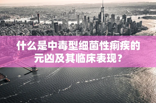 什么是中毒型细菌性痢疾的元凶及其临床表现？
